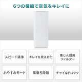 アイリスオーヤマ 単機能空気清浄機 36畳 IAP-A100-W