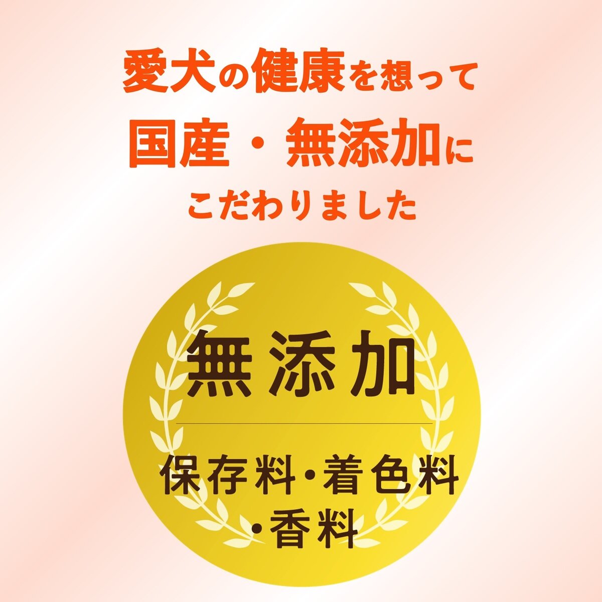チューデント 犬用歯磨きガム 50g
