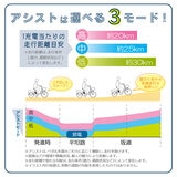 ミムゴ TRIC 電動アシスト三輪自転車