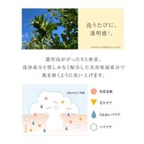 やまとこすめ 美肌せっけん 100g x 2