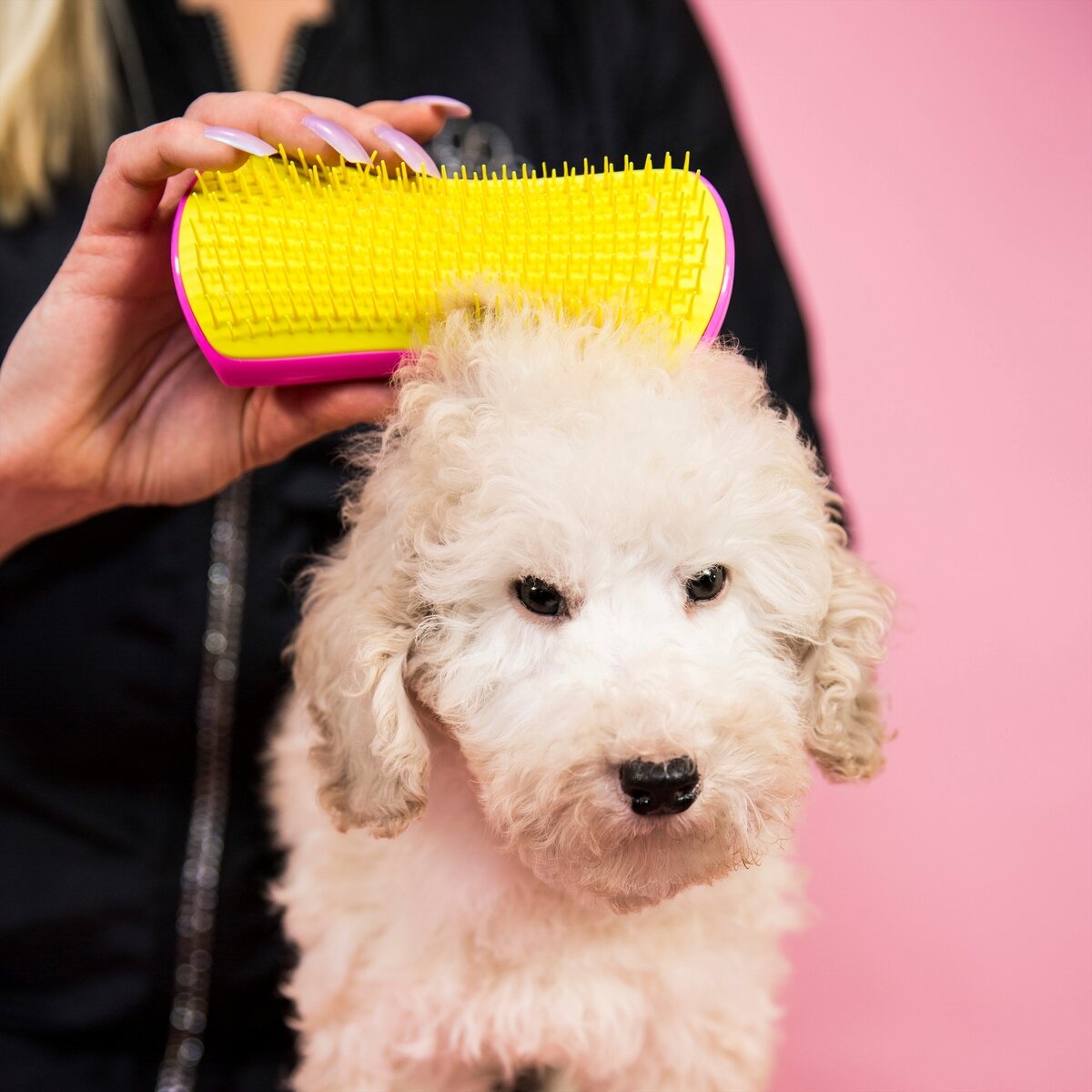 PET TEEZER ラージ&スモール ソフトタイプ 2個セット