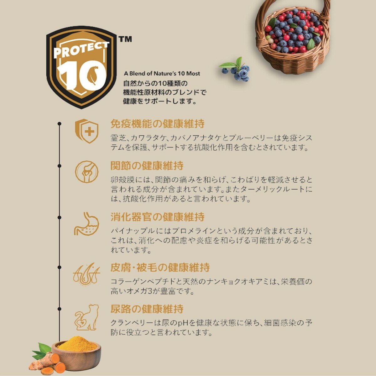 チャーム オーシャンフィッシュ 10kg