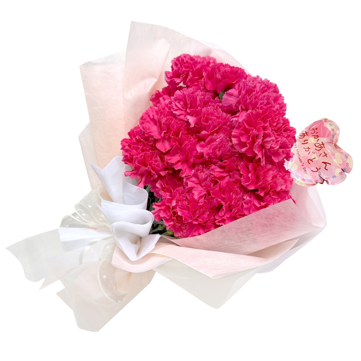 カーネーションの花束 24本 濃ピンク 母の日期間配送 お届け日5月5日～5月10日