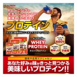 ホエイプロテインコンセントレート (WPC) チョコチップミルクココア風味 3kg