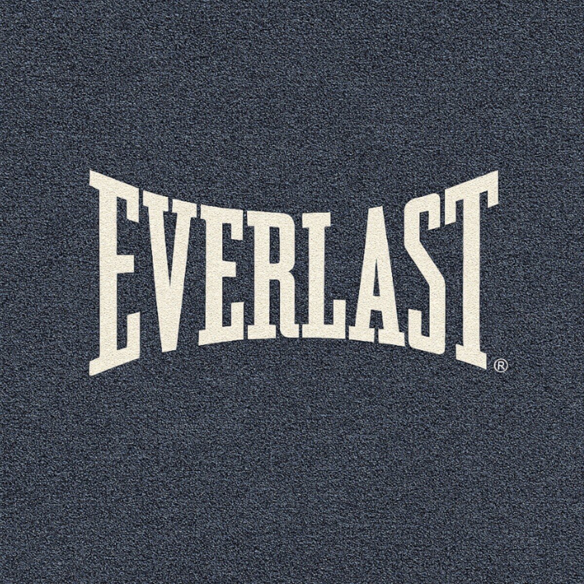 エバーラスト メンズ 長袖Tシャツ ネイビー L エバーラスト メンズ 長袖Tシャツ ネイビー L