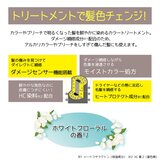 TOTTIMO! ディップカラー トリートメント 500g x 2 ミルクティ