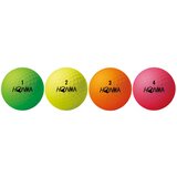 本間ゴルフ D1 ゴルフボール 2ピース構造 24個入り マルチカラー ローナンバー