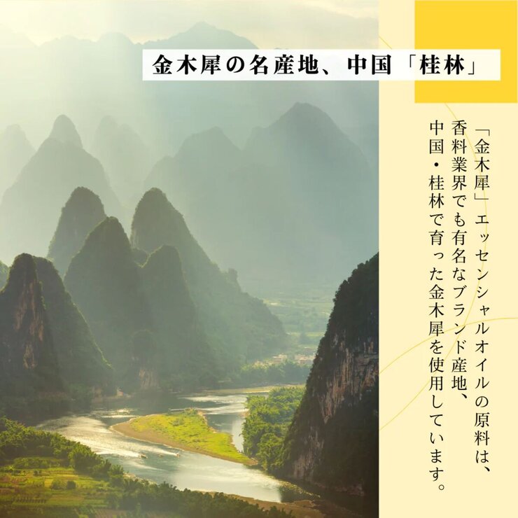 生活の木 ブレンドエッセンシャルオイル 30mL 金木犀