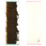 Uchinoko うちのニャンコ毛並ロングフェイスタオル 34cm x 100cm 3枚組 Uchinoko うちのニャンコ毛並ロングフェイスタオル 34cm x 100cm 3枚組