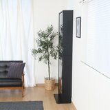 コレクションラック TOR ハイタイプ