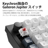 Keychron / Q0 Max QMK カスタム・テンキー / カーボンブラック / 赤軸 (ホットスワップ)
