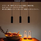 Edison Smart（エジソンスマート）ペンダントライト ダクトレール用 ブラック RST-PL01BK