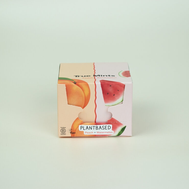 トゥルーミント ピーチ＆スイカ 13g x 18箱