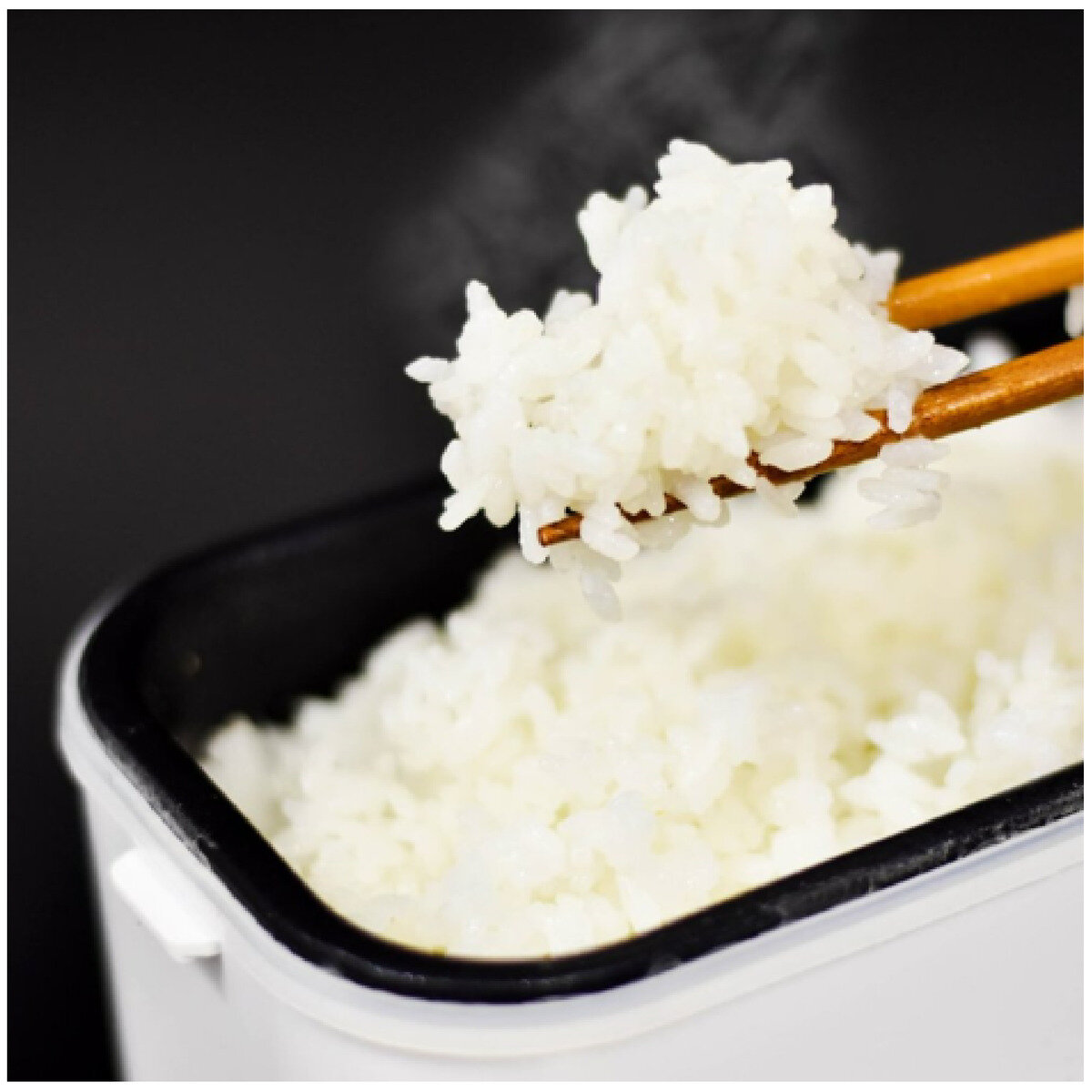 THANKO 高速弁当箱炊飯器 1合炊き RCKDSGS/TKFCLBRC