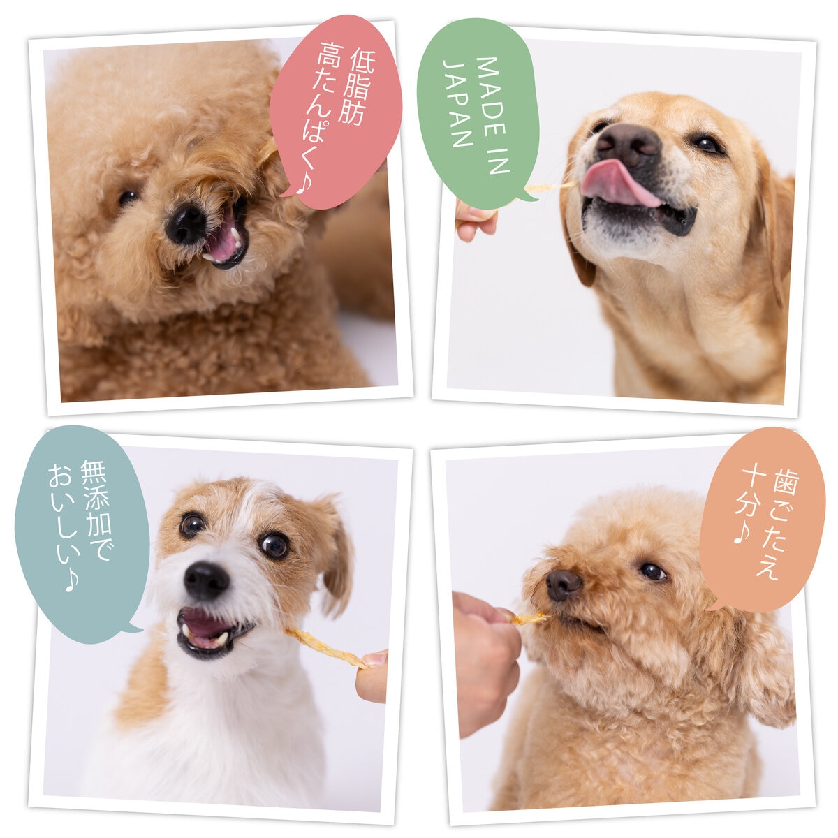 ターキーアキレス無添加 180g 犬用