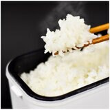 THANKO 高速弁当箱炊飯器 1合炊き RCKDSGS/TKFCLBRC