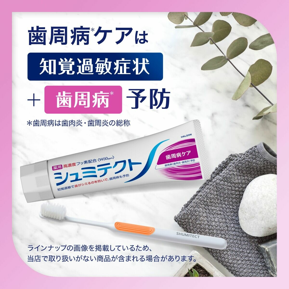 薬用シュミテクト歯周病ケア 100g x 5 薬用シュミテクト歯周病ケア 100g x 5