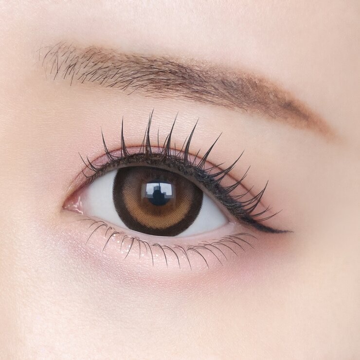 シャプン ワンデー ときとめブラウン 10枚入り 齊藤なぎさイメージモデルカラコン 度なし (±0.00)