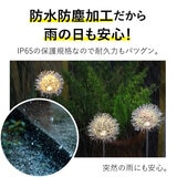 7Life LEDソーラーガーデンライト タンポポ ４個セット