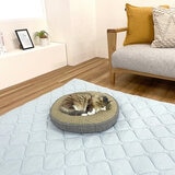 い草素材 猫用ベッド