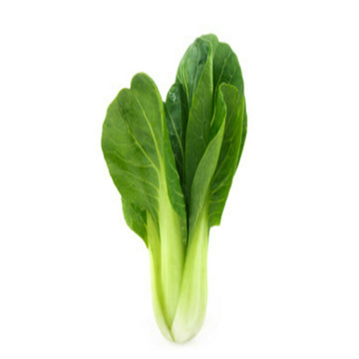 青梗菜 600G