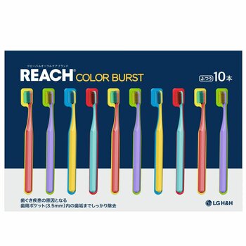 REACH カラーバースト 歯ブラシ 10 本