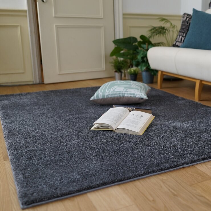 スミノエ アレルブロック 防炎 ラグ イルミエ 200 x 250cm チャコール スミノエ アレルブロック 防炎 ラグ イルミエ 200 x 250cm チャコール