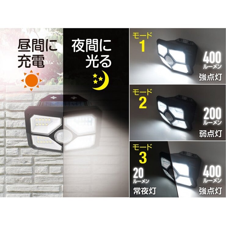 大進 ソーラーセンサーライト２個セット DLS-WL006