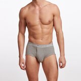STANFIELDS メンズ ブリーフ L グレー