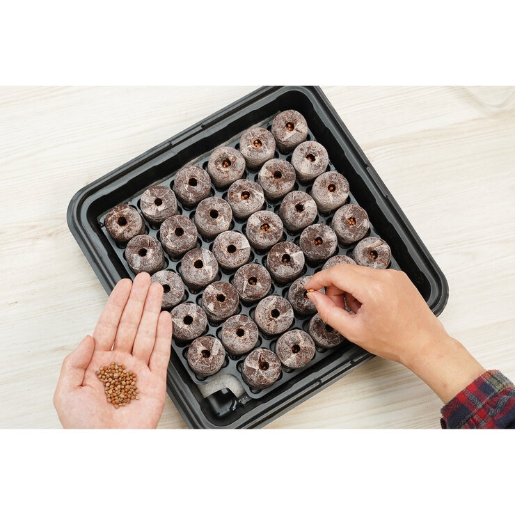 コストコ【PlantBest】プラントベスト そのまま植えられる苗づくりキット 35 ココナッツペレットｘ2個パック　A3831 222652683780126.jpg
