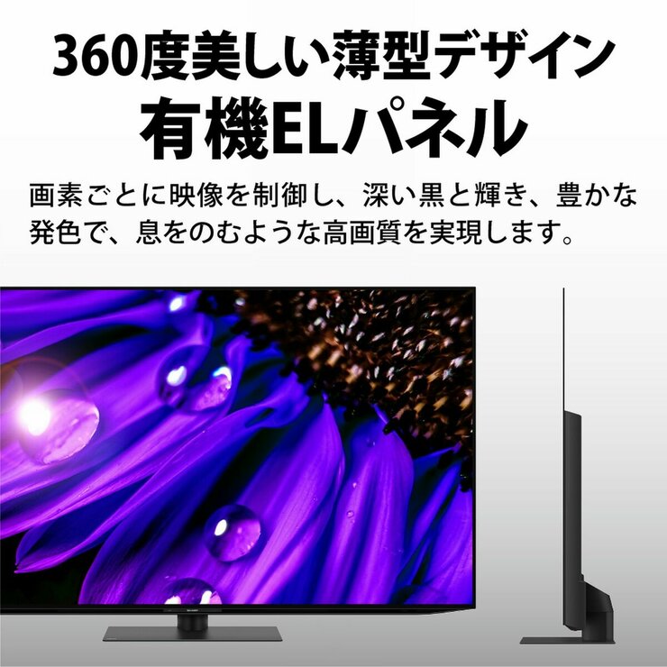 シャープ アクオス 55インチ 4K有機ELテレビ 4T-C55EQ1