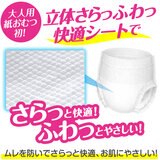 肌ケア アクティ 大人用おむつ L-LLサイズ 気持ちいい うす型パンツ 2回分吸収 80枚入り (20枚x4パック)