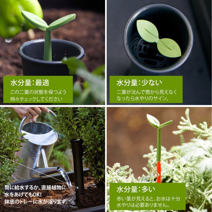 ケター Sequoia プランター Lサイズ ケター Sequoia プランター Lサイズ