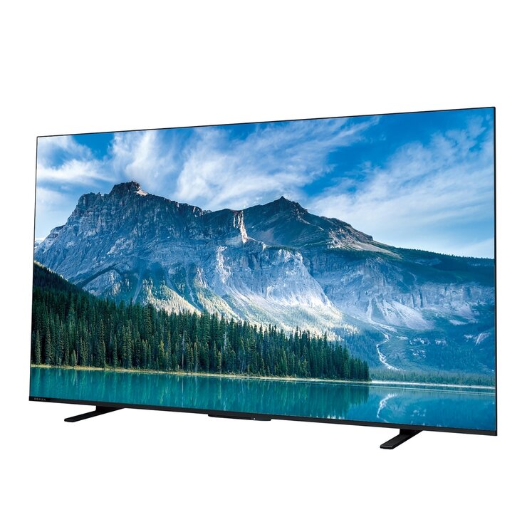 レグザ 65インチ 4K 液晶テレビ 65M550M