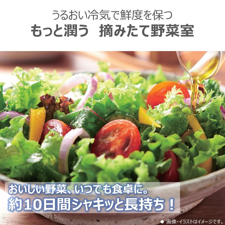 東芝 465L 冷蔵庫 GR-Y470GSH