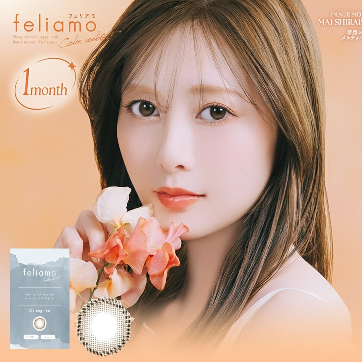 フェリアモ ワンマンス 2枚入り 白石麻衣イメージモデルカラコン 度なし (±0.00)