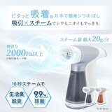ドリテック 吸着スチームアイロン スイピタ IR-102