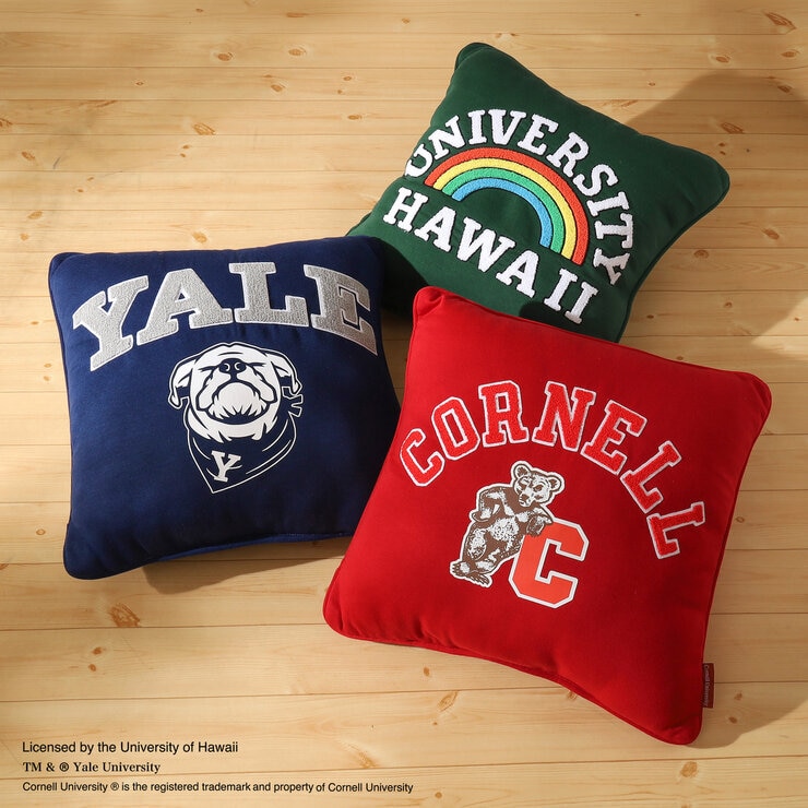 カレッジ デコピロー ハワイ