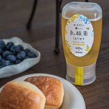 からだに優しい乳酸菌はちみつ 300g からだに優しい乳酸菌はちみつ 300g