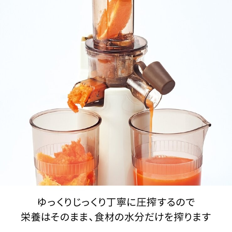 レコルト コールドプレスジューサー ミニ RCJ-1
