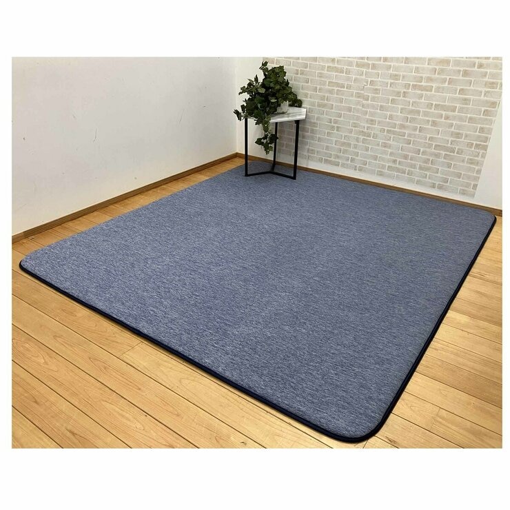 昭和西川 極厚冷感ラグ