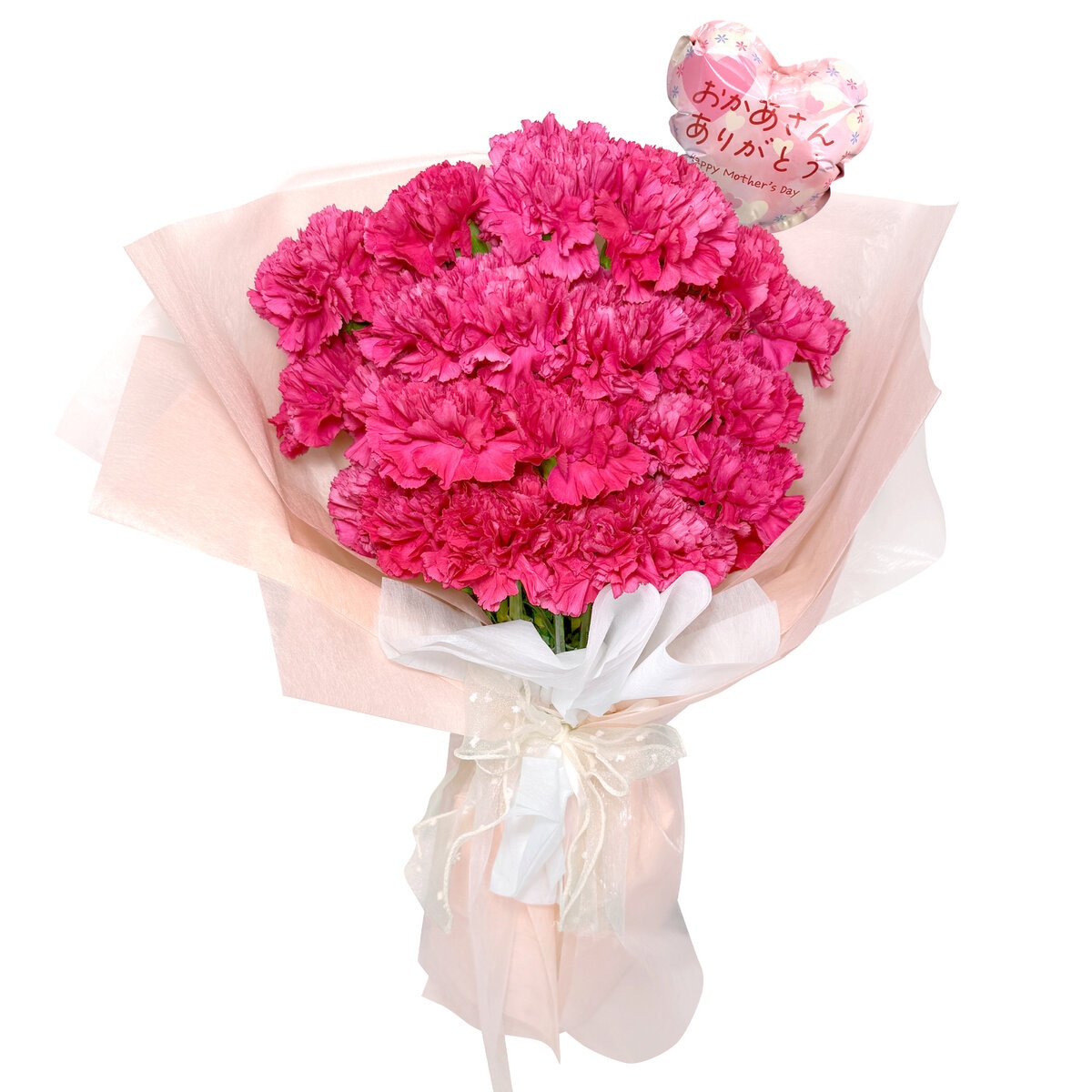 カーネーションの花束 24本 濃ピンク 母の日期間配送 お届け日5月5日～5月10日