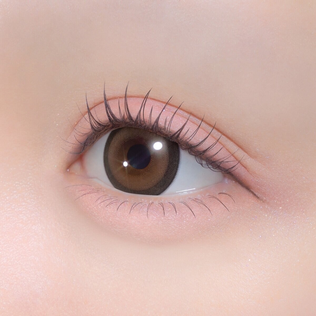 シャプン ワンデー ずるモテベージュ 10枚入り 齊藤なぎさイメージモデルカラコン 度なし (±0.00)