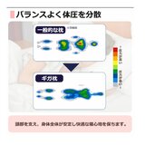 昭和西川 ギガまくら