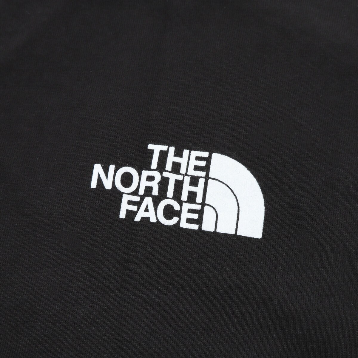 ザ・ノース・フェイス メンズ イージー 半袖 Tシャツ
