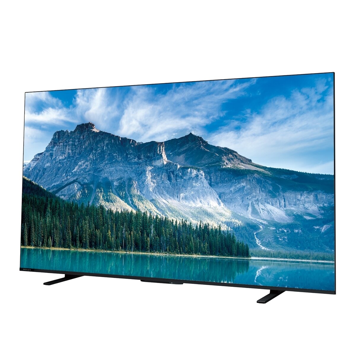 レグザ 65インチ 4K 液晶テレビ 65M550M