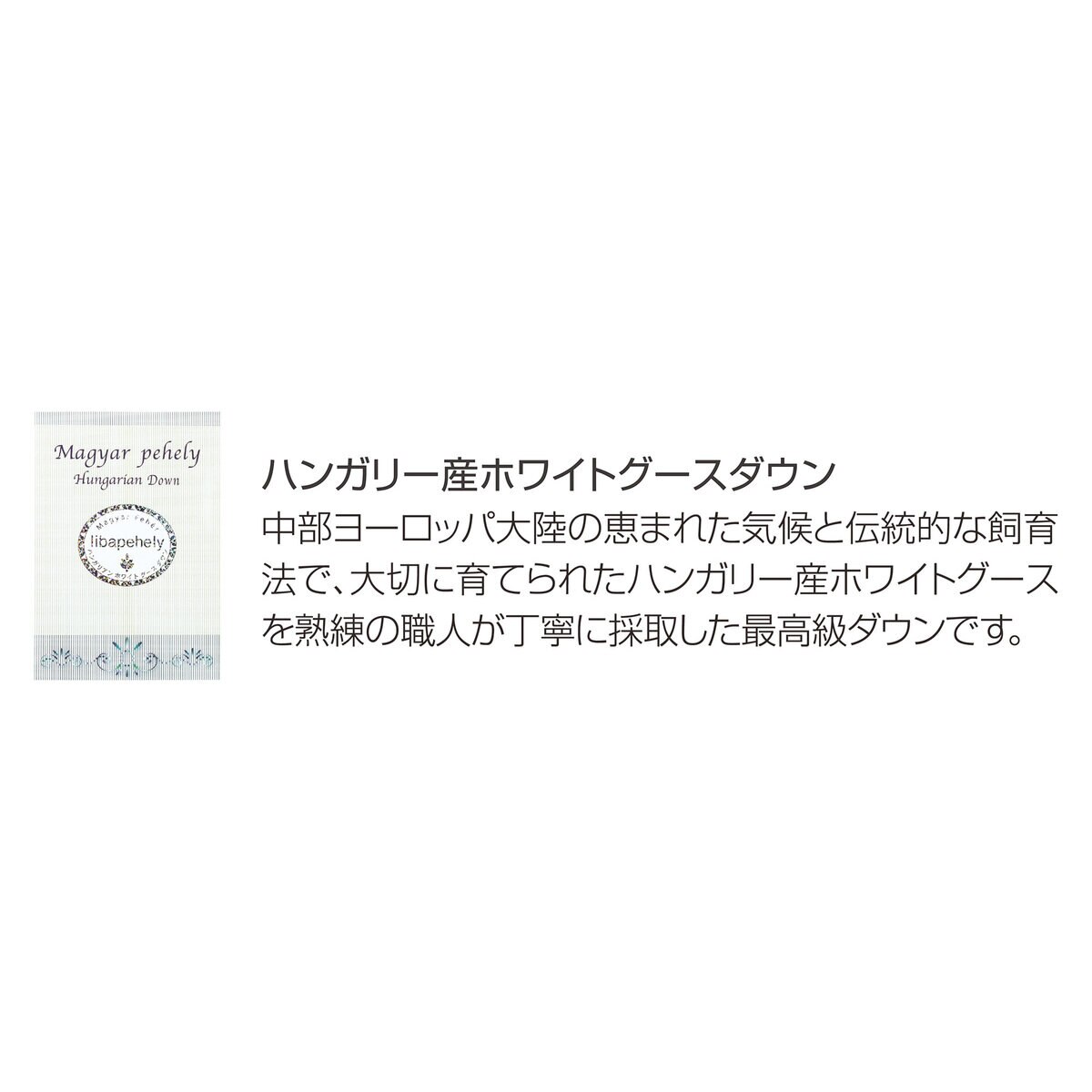 フランスベッド 高衛生羽毛布団 クイーン