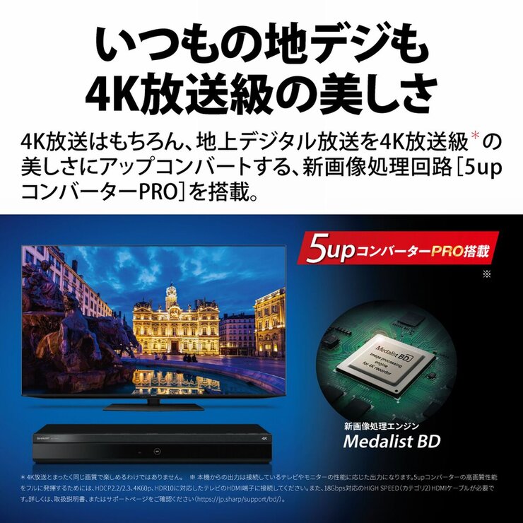 シャープ アクオス 4B-C40EW3 ブルーレイレコーダー | Costco Japan