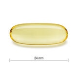 植物性オメガ3 120粒