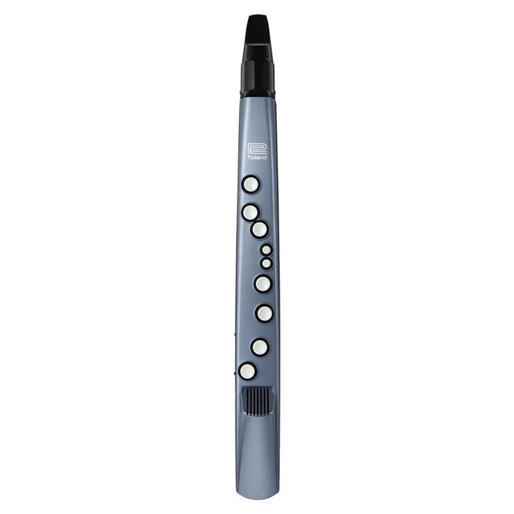 ローランド 電子管楽器 エアロフォン・ミニ AE-01 | Costco Japan